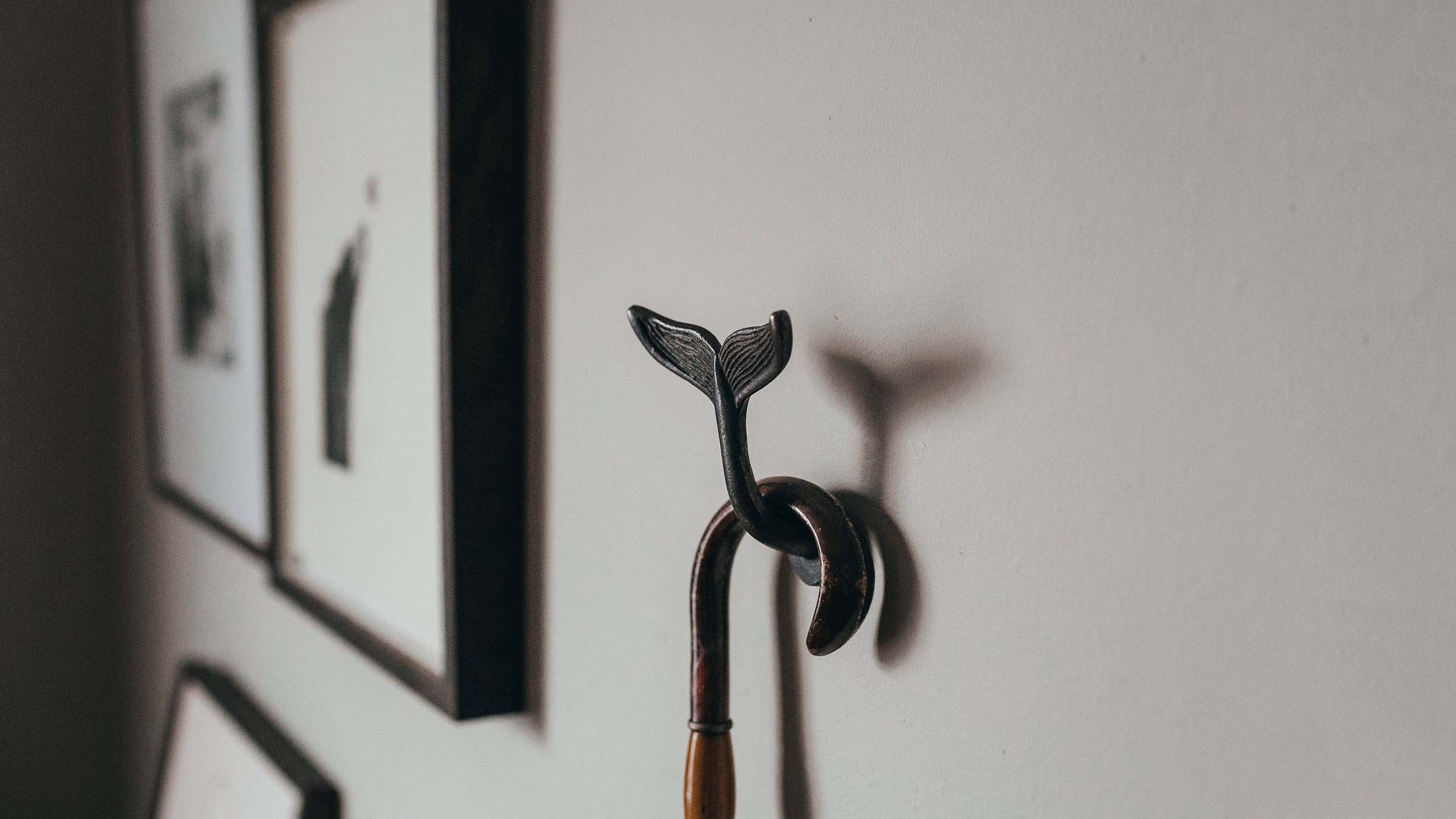 Coat Hook Decorative Hooks Peg Rail Brass Hooks Cabin Hooks