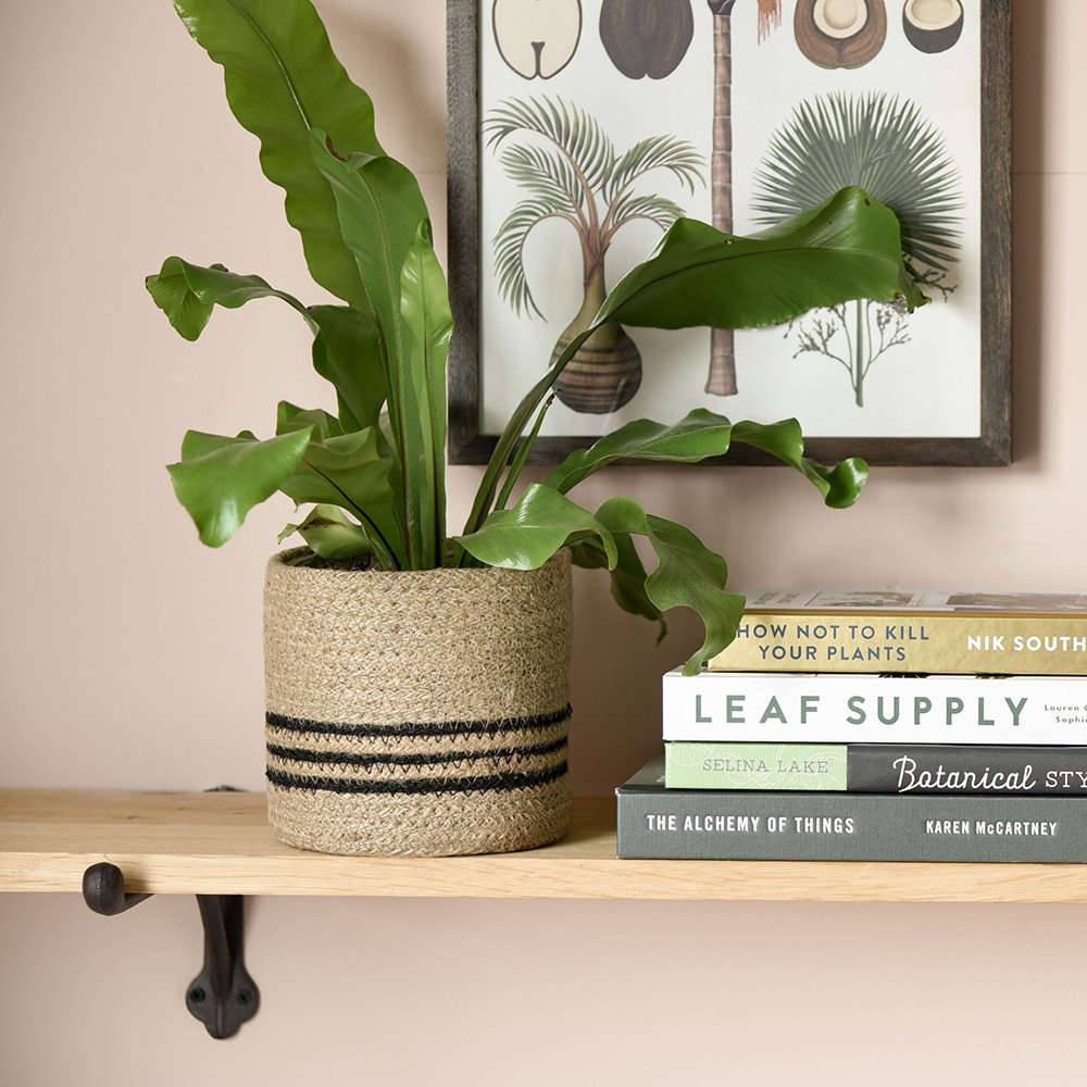 jute plant pot Woven Plant Pot | Indoor Plant Basket