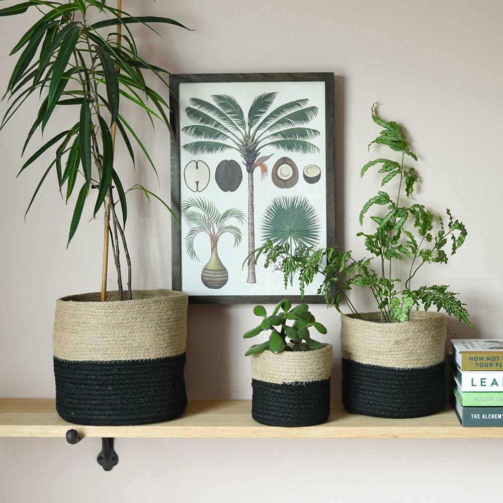 Set of three plant pots in situ with potted houseplants. Each set has three different sized pots, handcrafted from jute with a thick black stripe. 