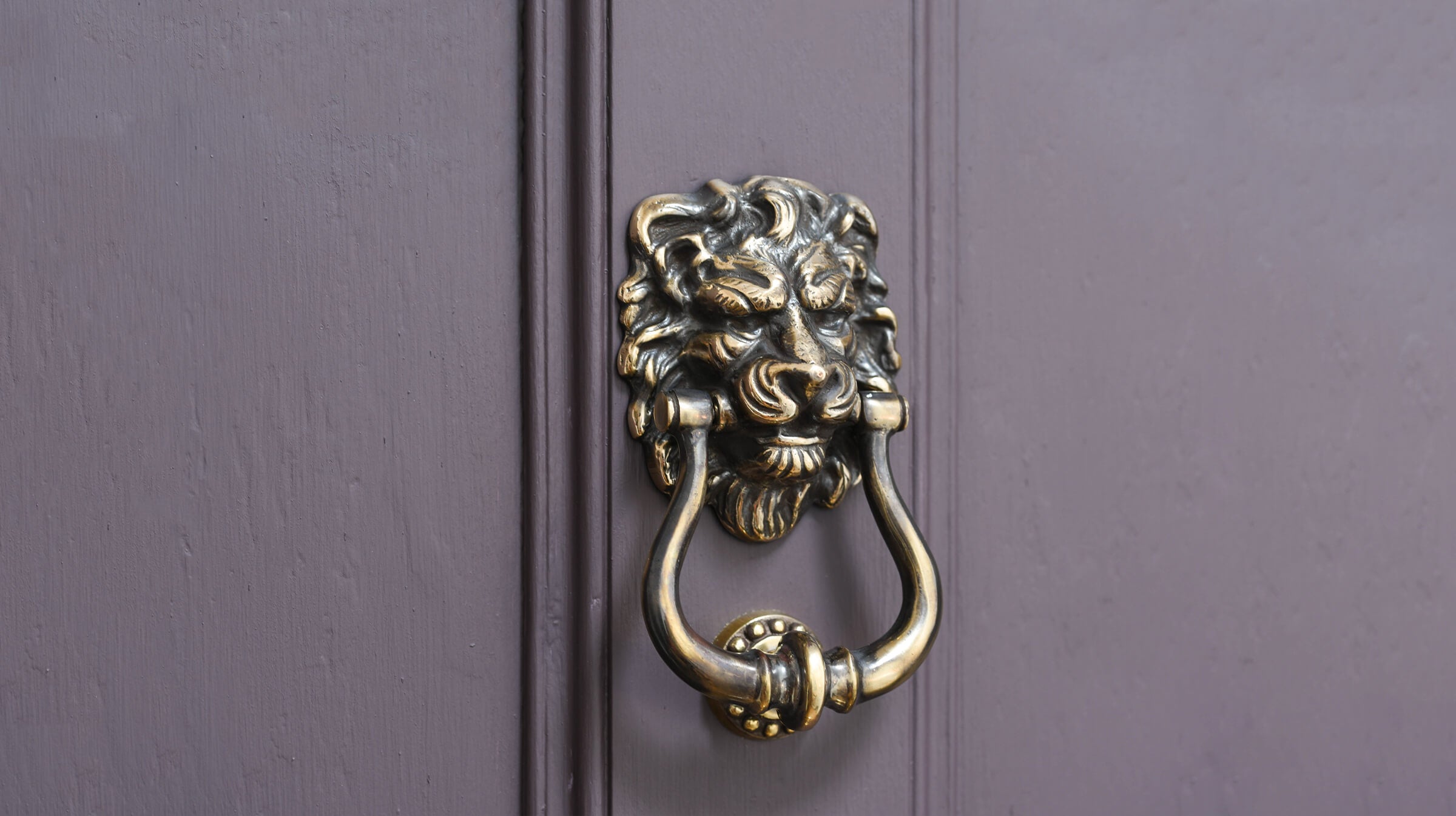 Shop Elegant Brass Door Knockers | Victorian, Lion, and More