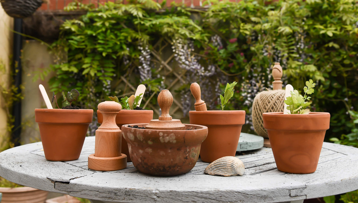 Line up of little plant pots on a garden table