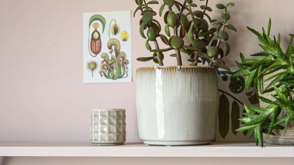 Planters & Baskets