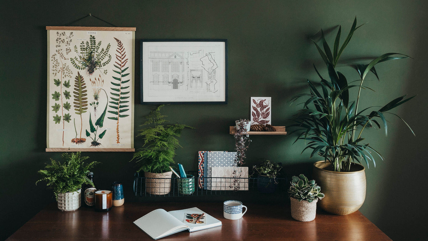 dark green walls and wooden desk with stationary and plants on