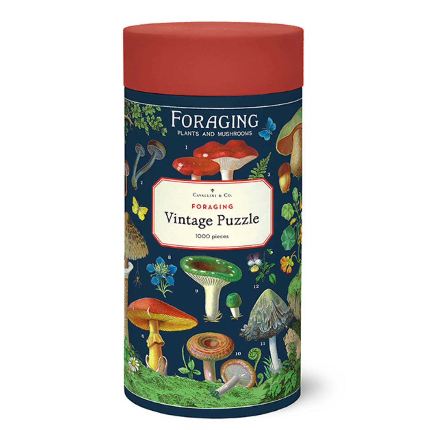  cylindrical puzzle box with mushroom illustrations and 'Foraging' text