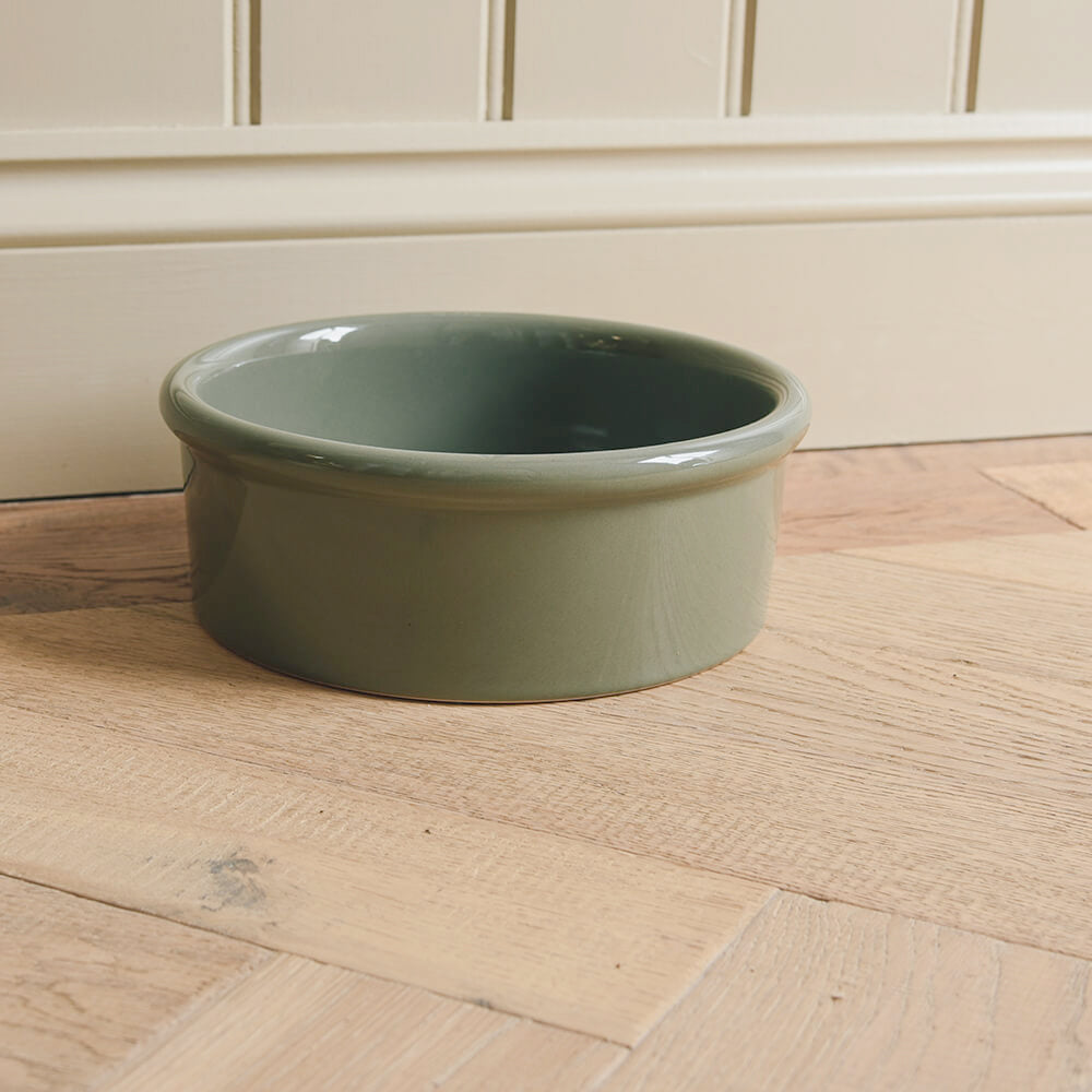 dog bowl in soft green on a wooden floor against a panelled wall
