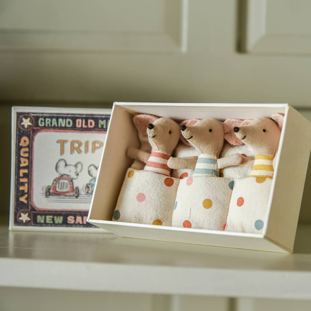 three little mice with bedding in an illustrated matchbox