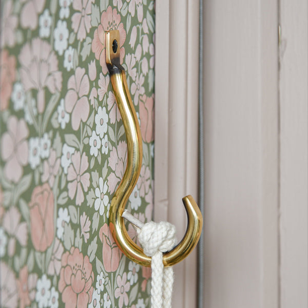 Polished Antique Brass Crook Hook