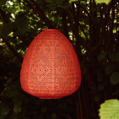 red lantern in trees
