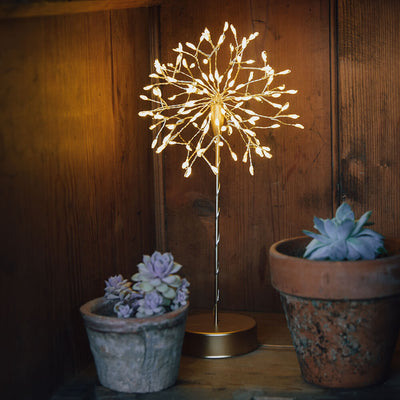 Mini Table Dandelion Battery Light