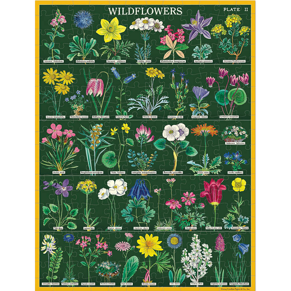 Poster of a puzzle of wildflowers with colorful illustrations on a green background