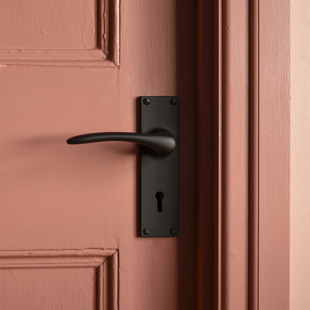 Black lever foor handle on a pink door with elaborate frame and pale pink border