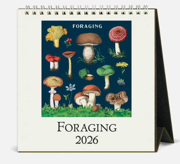 2026 Desk Calendar - Foraging