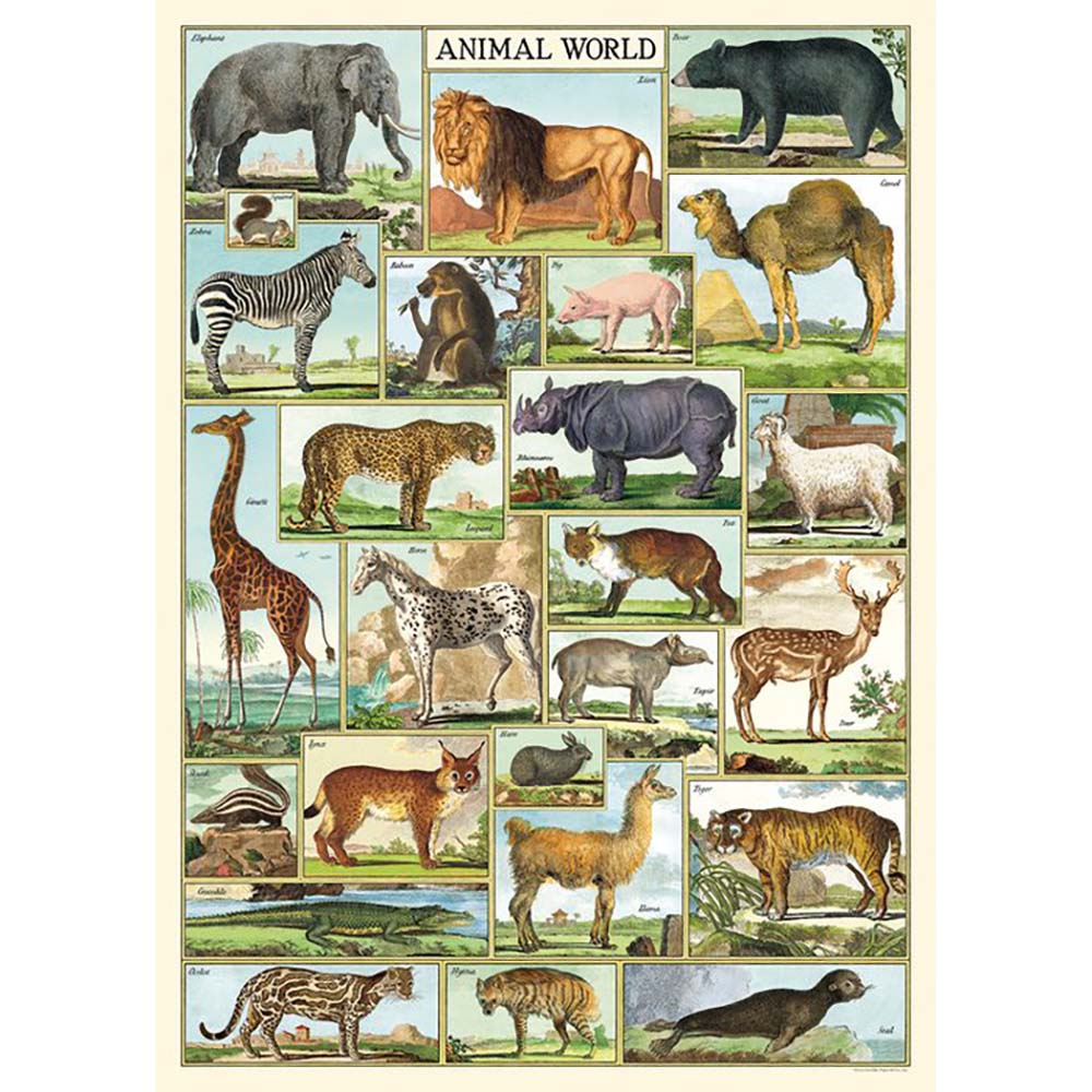 Cavallini poster of different wild animals from around the world in individual sections