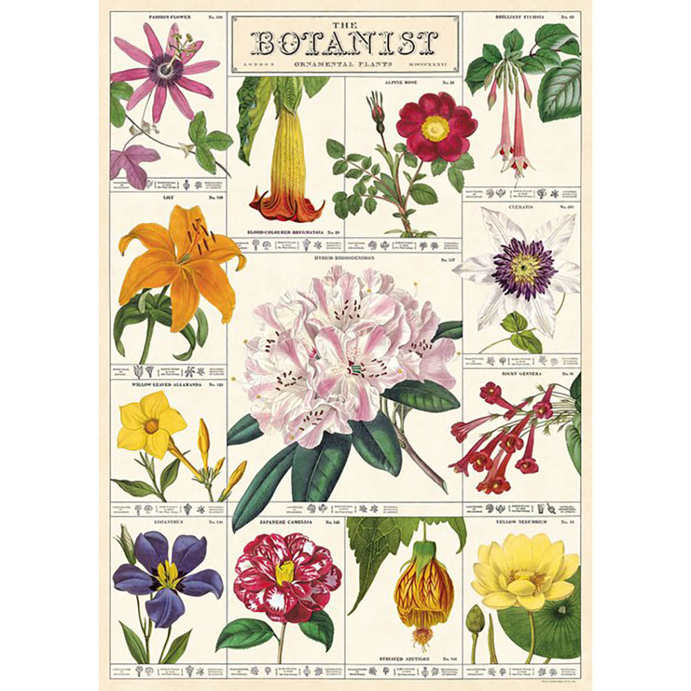 Cavallini poster of colourful flowers each in its own square section on an off-white background