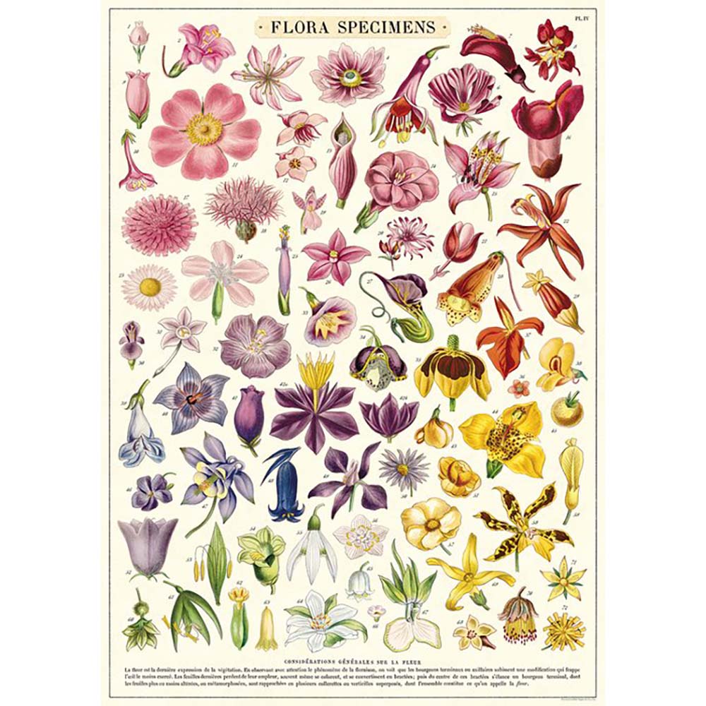 Cavallini poster of lots of different flowers in shades of pink, purple and yellow on an off-white background