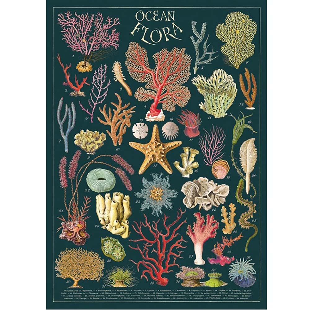 Cavallini poster featuring ocean flora