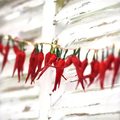Red chilli pepper LED paper fairy lights hanging from natural brown string against a rustic white wood wall