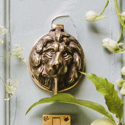 Aged brass lion head latch cover front view