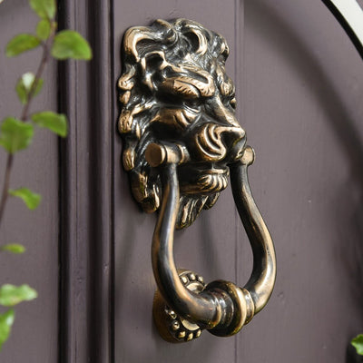Aged brass lion's head door knocker side view