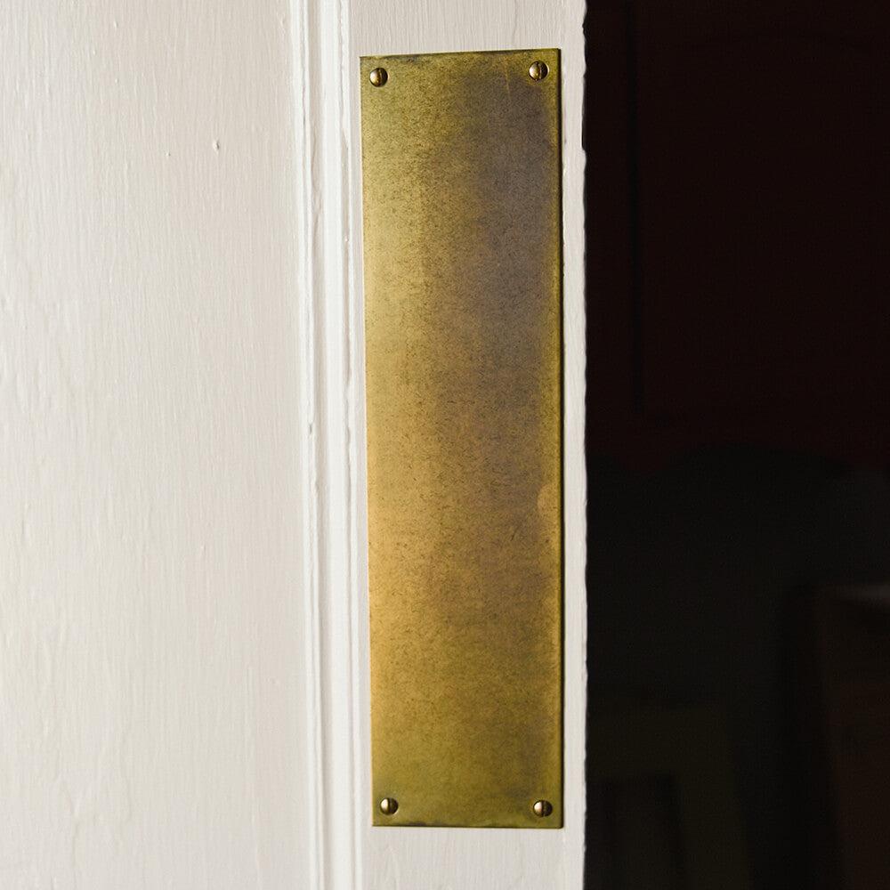 Aged brass fingerplate on door