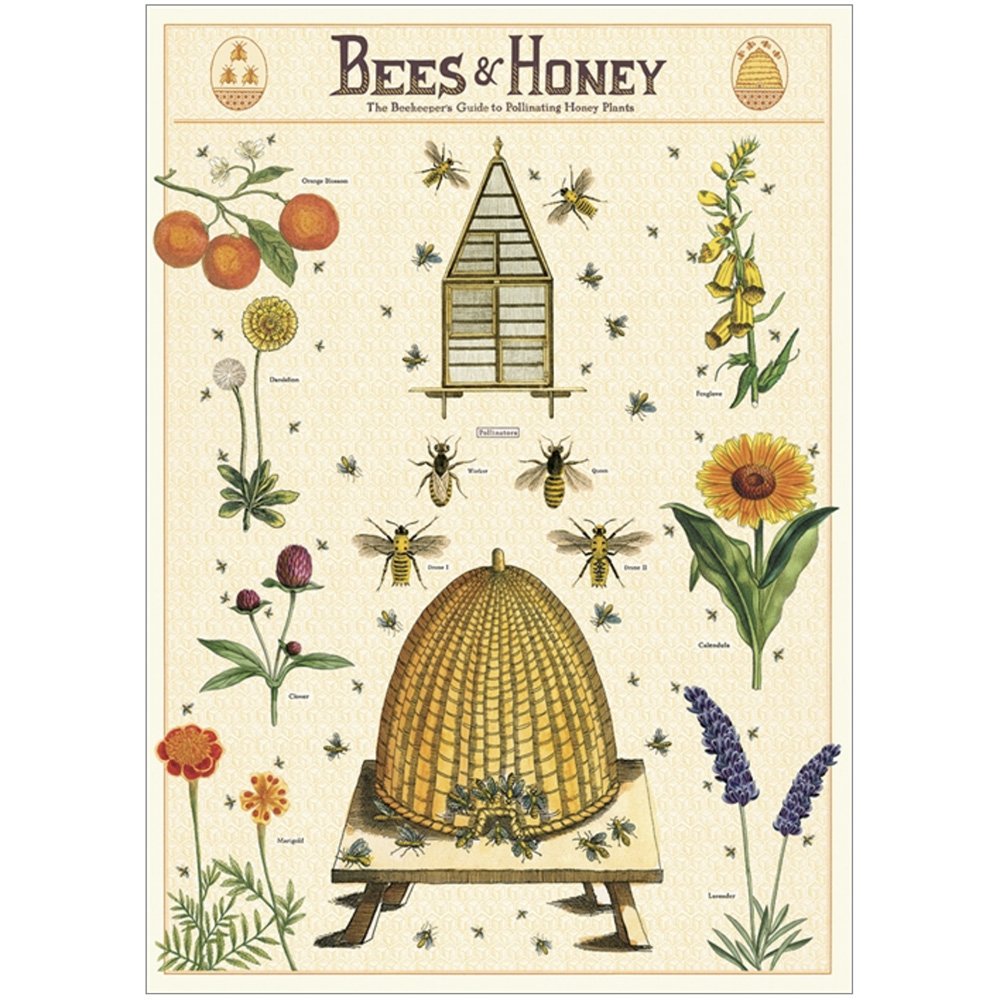 Botanical Style Poster of flowers and bees around a hive
