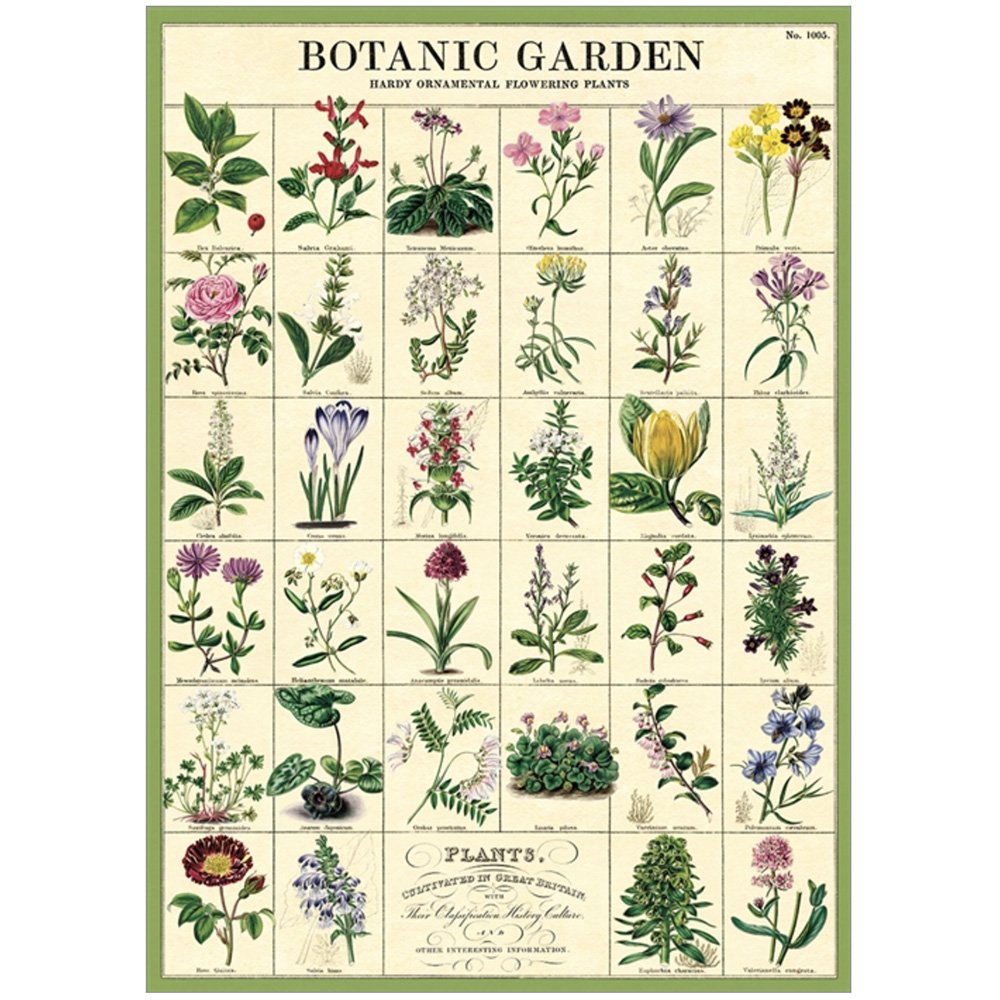 Botanical Poster | Flower Wrapping Paper | Garden Poster