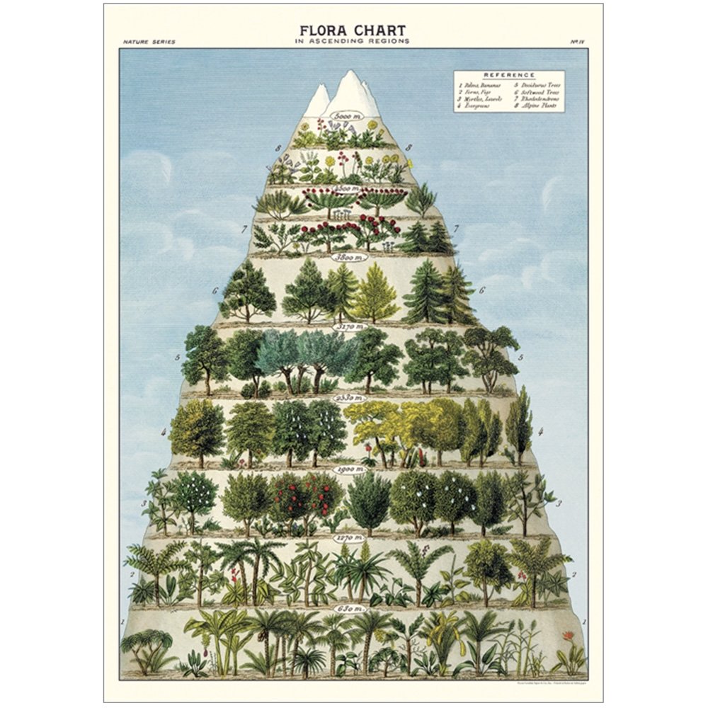 Pyramid chart of trees and plants