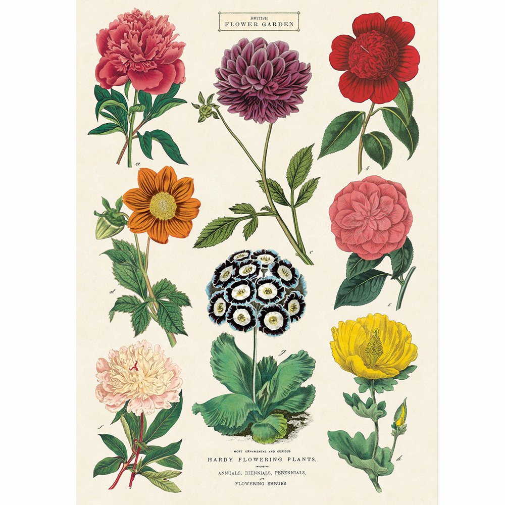 Botanical Floral Poster