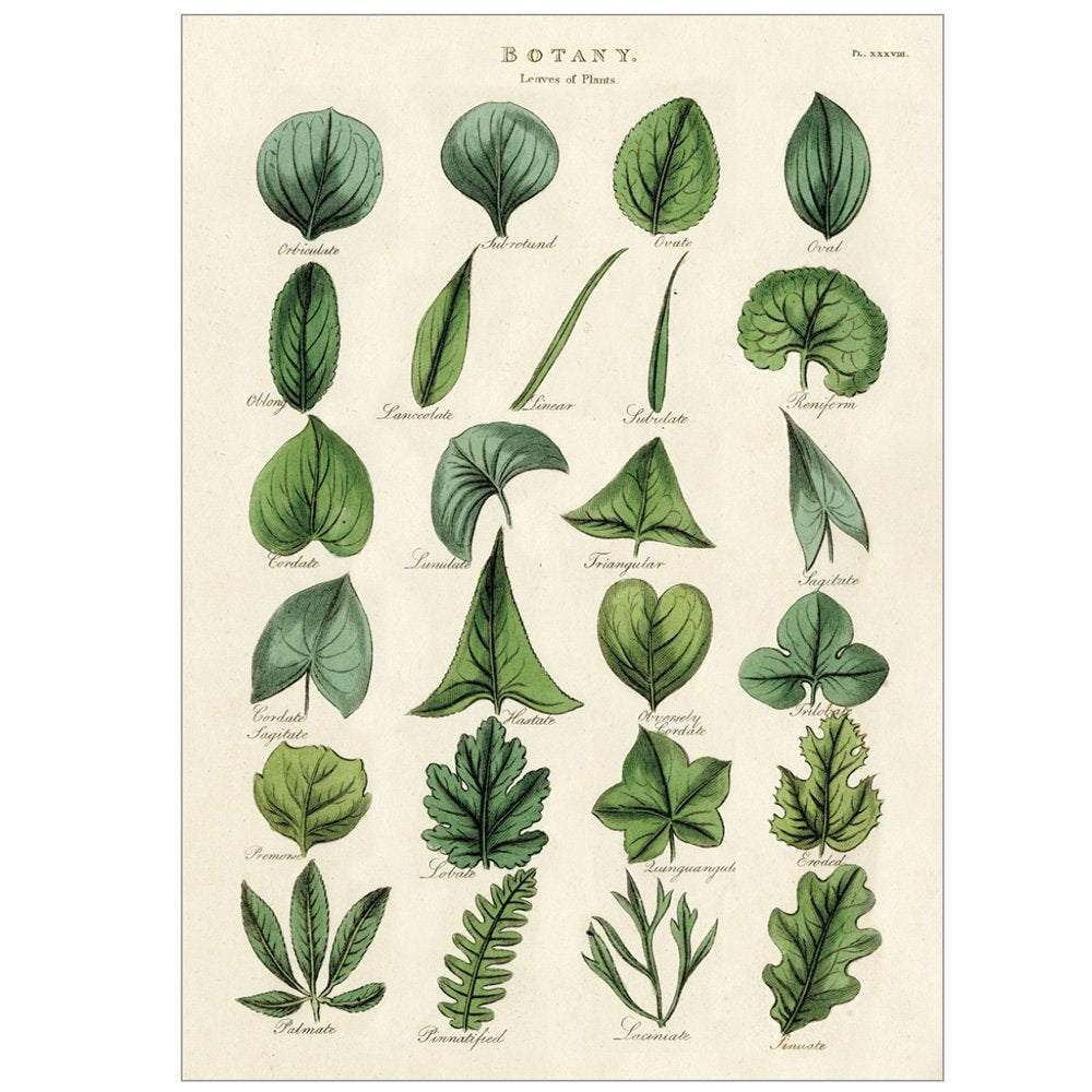 Poster of Green Leaves