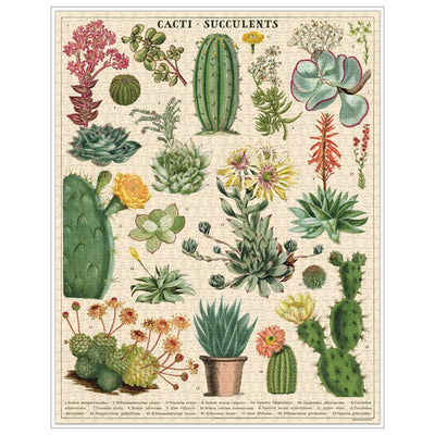 Completed 1000 Piece Jigsaw of cactus and succulent illustrations.