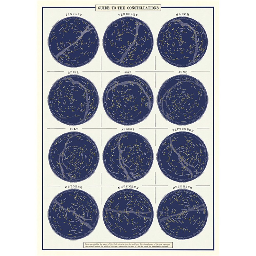 Constellations Poster Bedroom Set