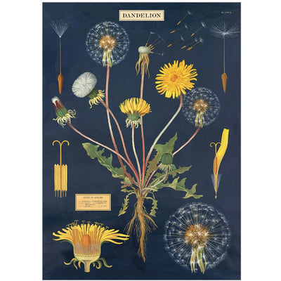 Dandelion wrapping paper