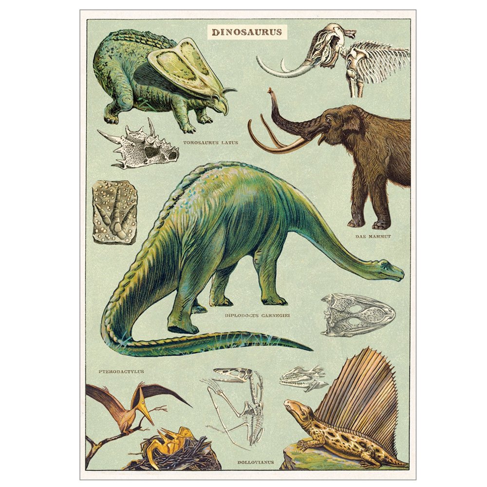 Natural history style dinosaur poster