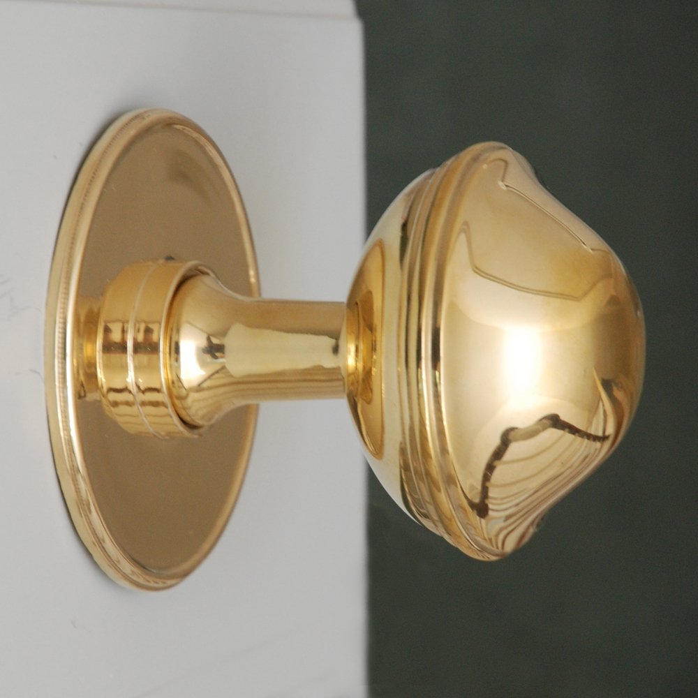 large round polished brass door pull on white background