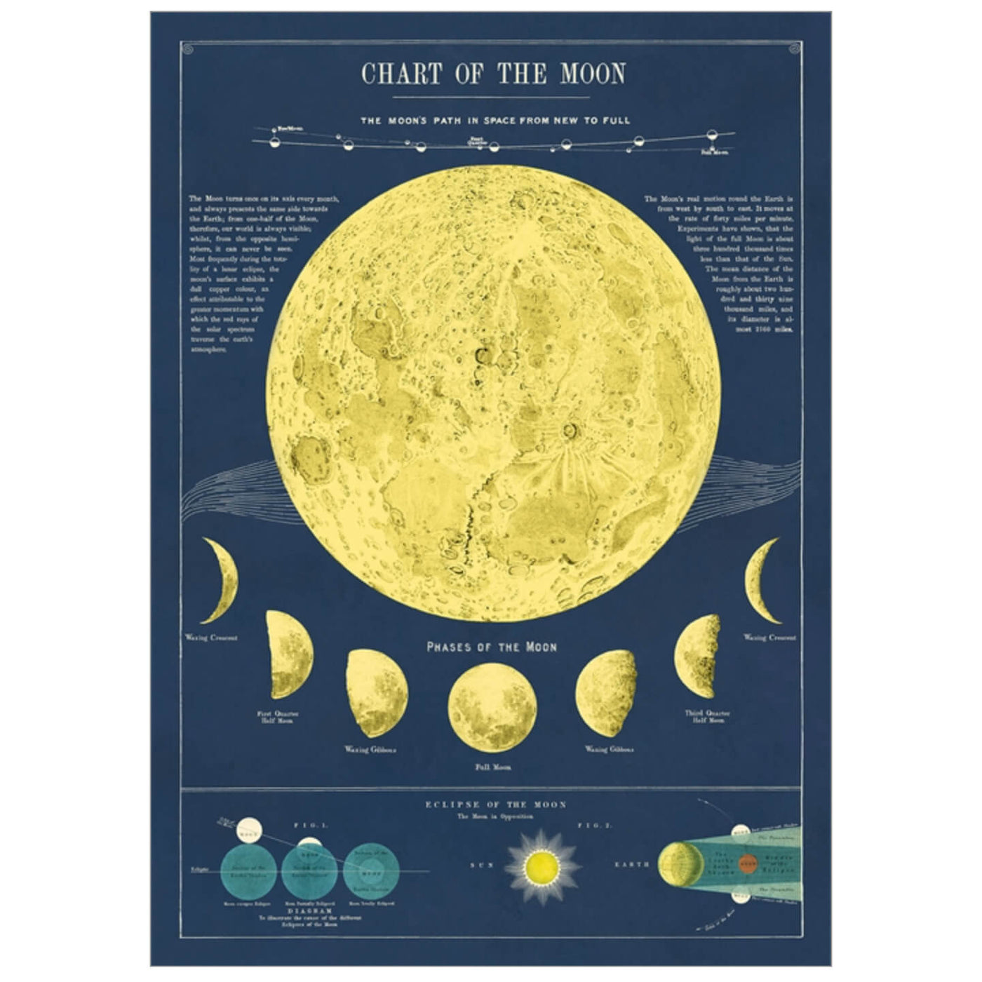 Moon Chart, Phases of the Moon Print