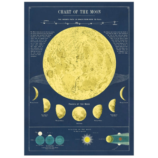 Moon Phases Diagram Blank Learn The Phases Of The Moon With An