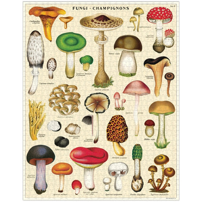 Illustrated Mushroom Puzzle