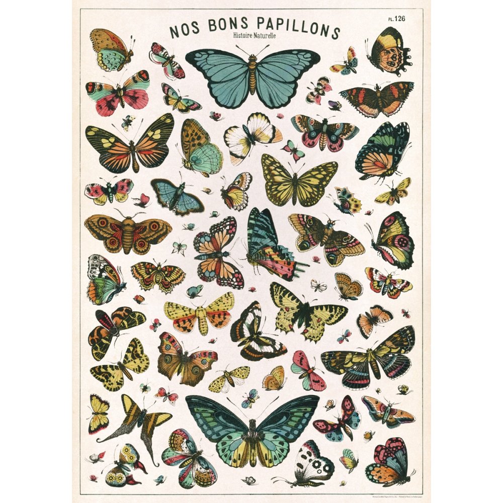 natural History Butterfly Poster