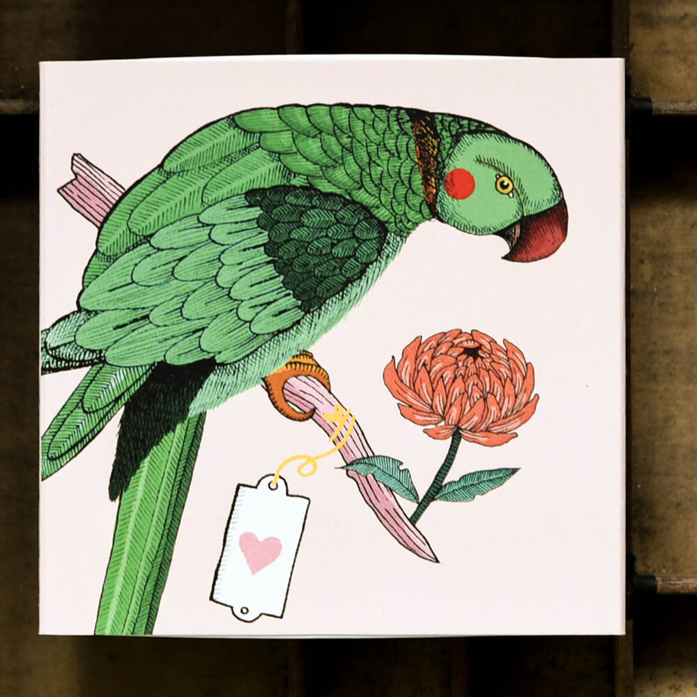 Green parrot on pink match box