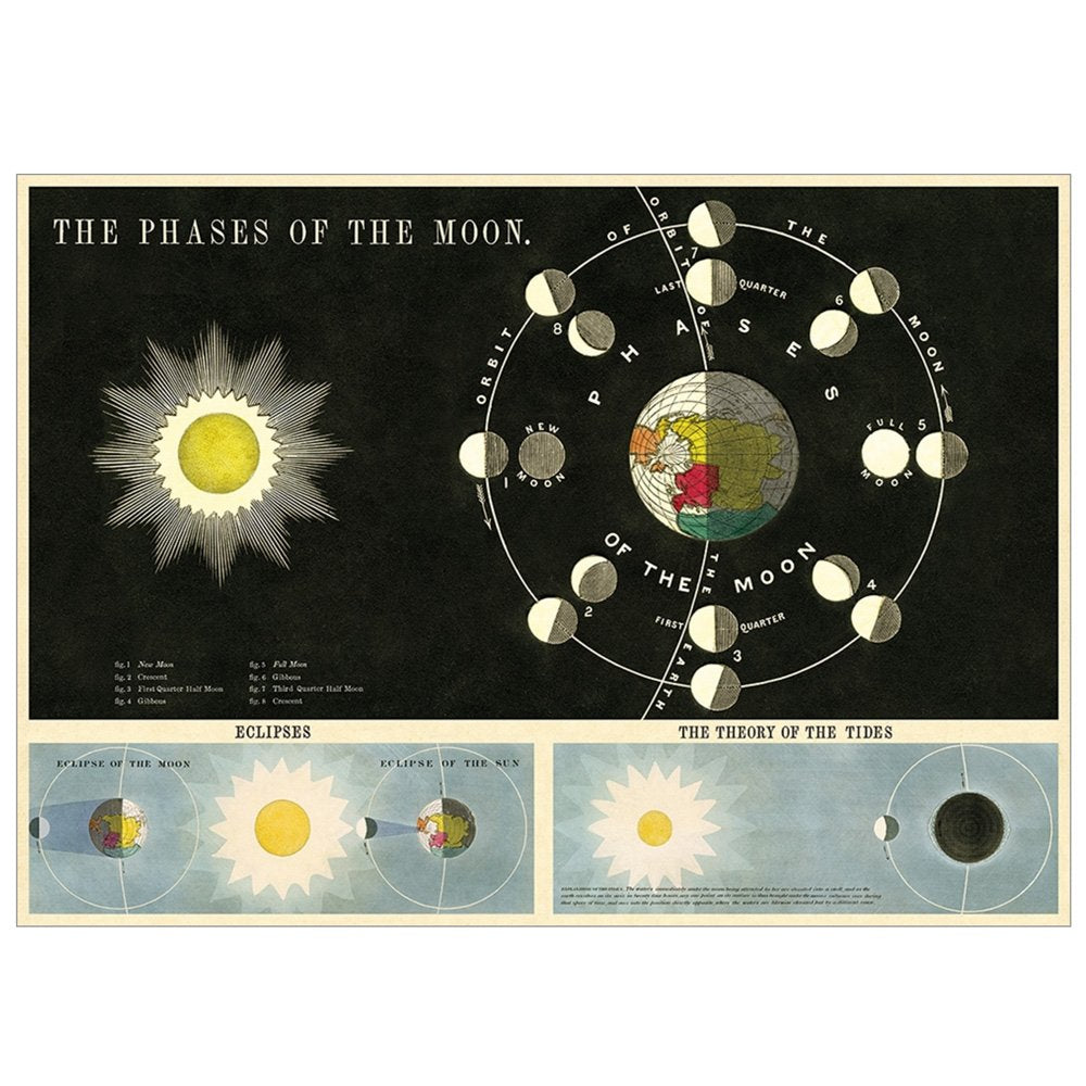 School chart style phases of the moon poster
