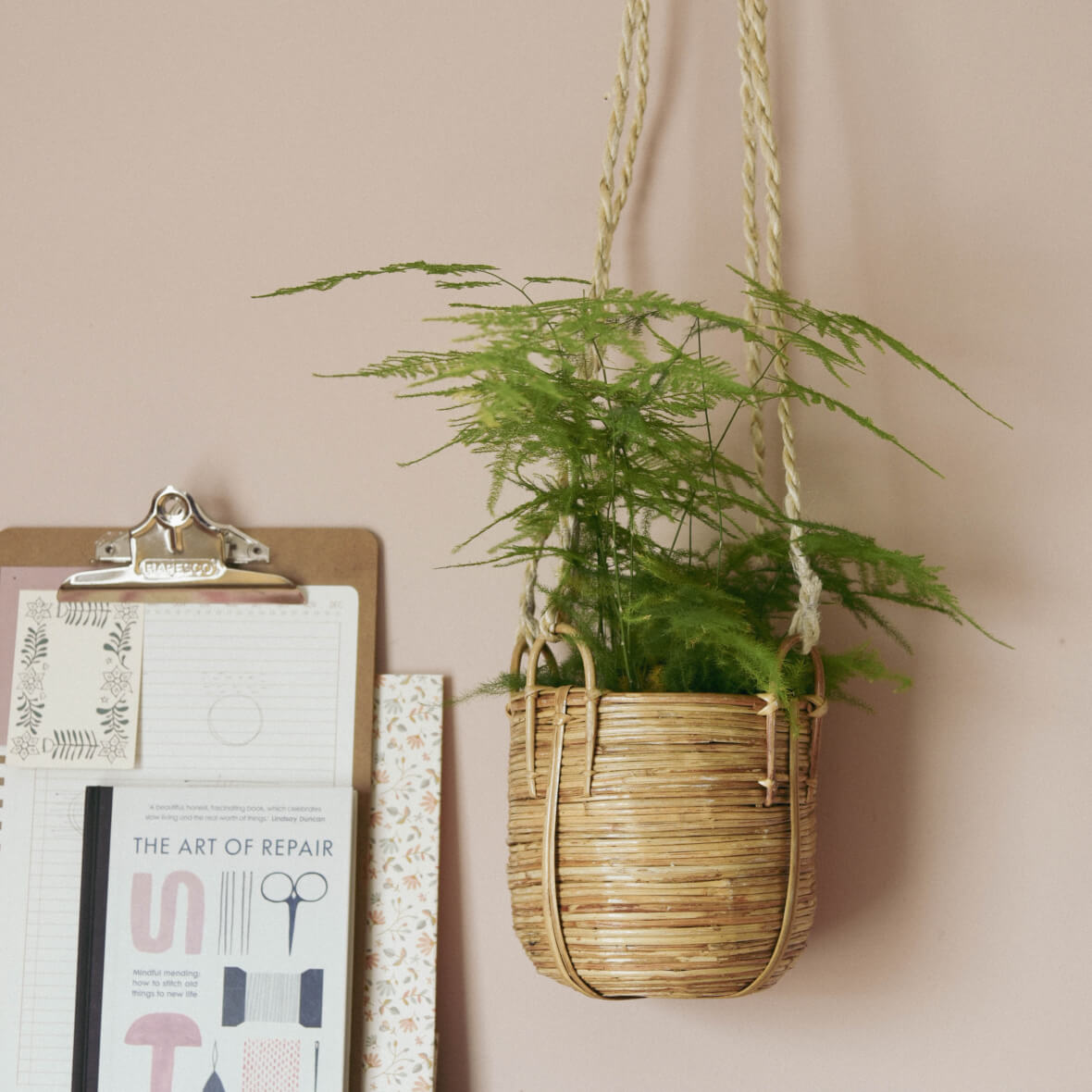 Rattan Hanging Planter on office wall