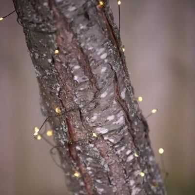 LED wire lights wrapped around tree trunk