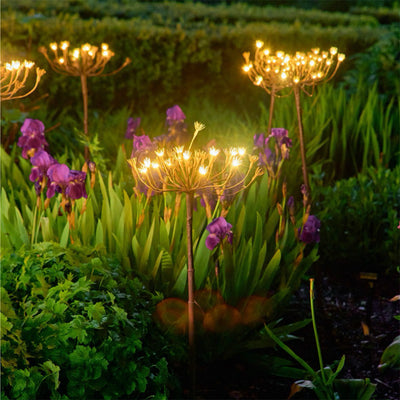Solar wild fennel stake light lit up at night in garden
