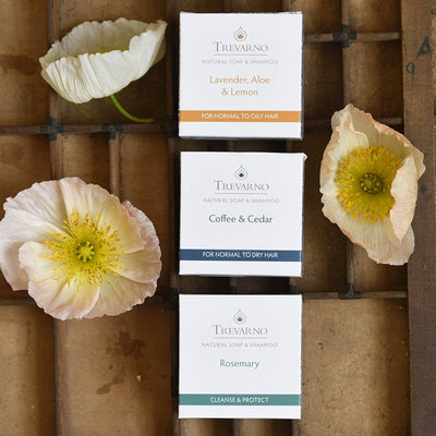 Trevarno shampoo bars in boxes in 3 different scents