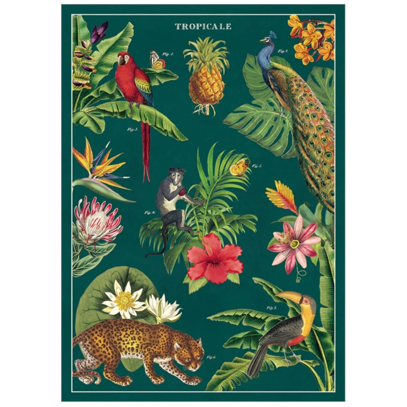 Sheet of wrap or poster with a tropical design featuring monkeys and leopards