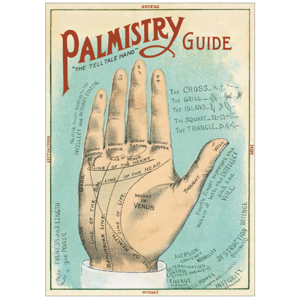 Palmistry Guide Poster with hand and all the line meanings