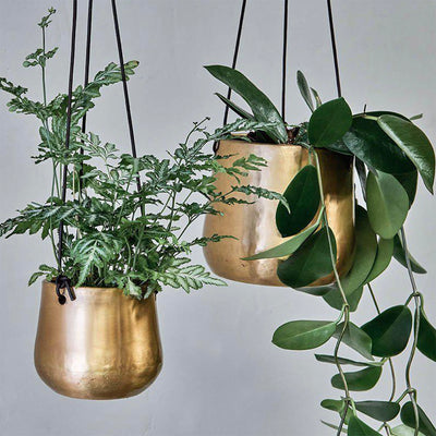 Detail of Two Atsu Antique Brass Hanging Planters in Mixed Sizes with Plants