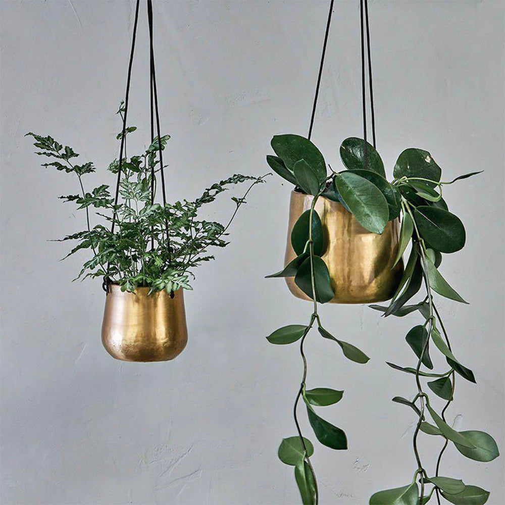 Two Atsu Antique Brass Hanging Planters in Mixed Sizes with Plants