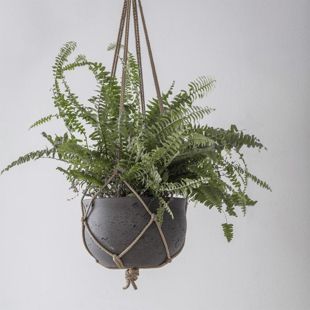 Dark grey cement hanging planter with light brown macrame hanging rope, featuring display fern