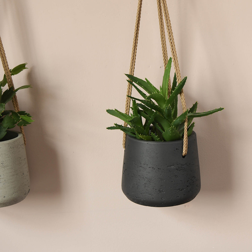 Small cement hanging planter in carbon with beige rope